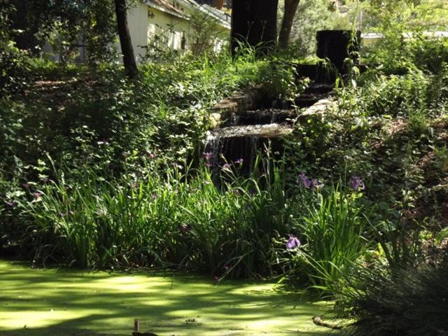 Bed and Breakfast Backyard Garden Oasis Middletown Exterior foto